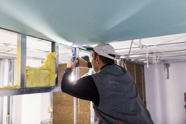 Types of Insulation We Offer in Newton, NC